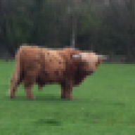 SpitfirePodger