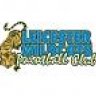 Leicester Wildcats